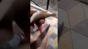 Черви в окуне !!!