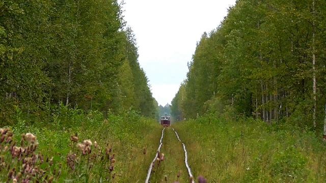 АУЖД. ТУ4-3088 в новом окрасе с пассажирским поездом Строкинка - Синячиха смотреть онлайн