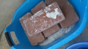 Как солить воблу