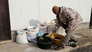 Корм для перепелов своими руками в домашних условиях