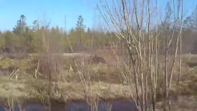 Разлив нефти на Самотлоре
