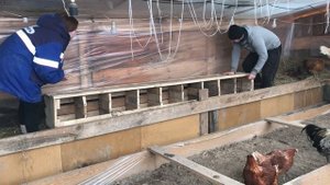 ДОМ ПОД ЗЕМЛЕЙ! КУРЯТНИК СВОИМИ РУКАМИ! КУПИЛИ ДОМ!  НЕУДАЧА ЭТО ХОРОШО! СТРОЙКА! ФЕРМА! ЖИВОТНЫЕ!
