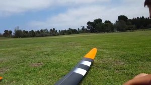 Samba Pike Dynamic F3J, some thoughts compared to Perfection