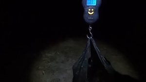 Ловля сазана и белого амура на Ахтубе. Осенние Ахтубинские трофеи.