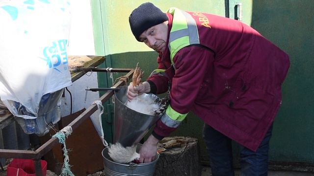 Как зарезать курицу 18+ смотреть онлайн