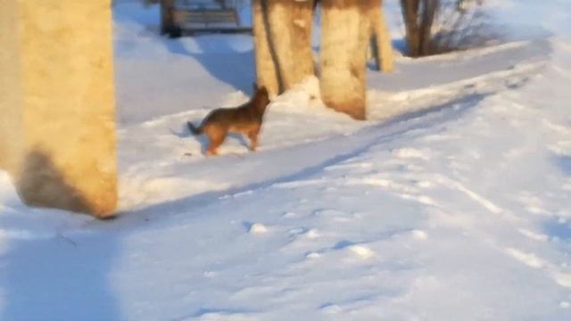 2019.02.09 Экскурсия от пл. Республики до "Пицца Блюз" У-Ка смотреть онлайн