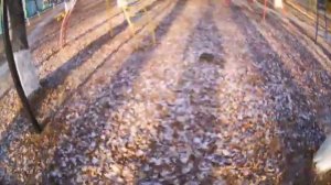 паркур от первого лица 2