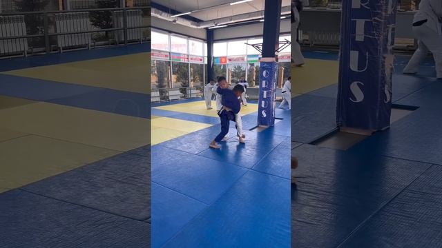 День борьбы дзюдоистов школы ORTUS.KZ, тренер Пак Сергей Александрович. смотреть онлайн