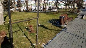 Жизнь на острове Сахалин осенью. Южно-Сахалинск в ноябре, прогулка по городу. Осень 2021