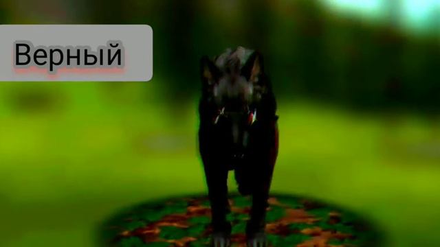 верный поёт песню 