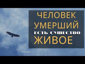 Стоит ли молиться за Умерших? Иоанн Кронштадтский