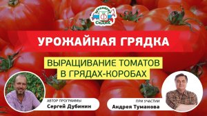 ВЫРАЩИВАНИЕ ТОМАТОВ В ГРЯДАХ-КОРОБАХ