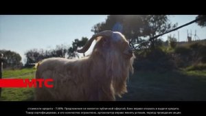 Реклама МТС Samsung Galaxy " Дмитрич "