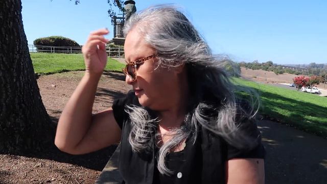 WHY YOU SHOULD NOT PLANT SUCCULENTS UNDER A TREE смотреть онлайн