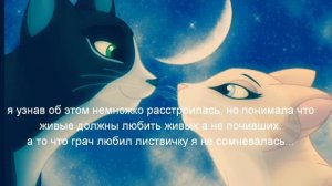 История ласточки, коты воители.