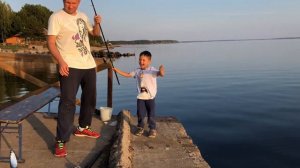 Рыбалка на природе с папой в коприно с рыбой, котом и удочками