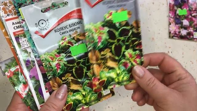 ОБЗОР МОИХ СЕМЯН ЦВЕТОВ ВЫСОКОРОСЛИКОВ , СЕЕМ ВМЕСТЕ МНОГОЛЕТНИЙ ДЕЛЬФИНИУМ! смотреть онлайн