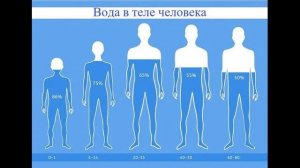 мифы о здоровье верить в которые глупо.