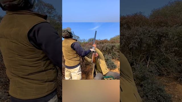 Загонная охота на Куропатку / Испания / 250 птиц за 2 ДНЯ / [2023]