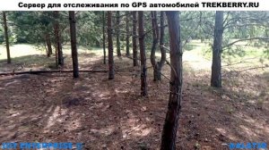 Отрывок из жизни  белки  Тольяттинском  Дендрарии куда можно сходить в любое время года и отдохнуть