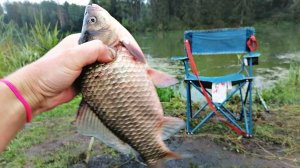 Проверенные наживки на крупного карася в августе сентябре!!! Таких лаптей вы еще не ловили...