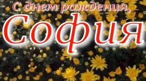 СОФИЯ, С ДНЕМ РОЖДЕНИЯ