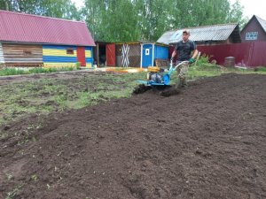 "ГУСИНЫЕ ЛАПКИ" В РАБОТЕ.МОТОБЛОК НЕВА МБ-2.ПЕРЕД ПОСАДКОЙ ПОД МОТОБЛОК.