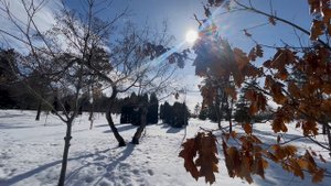 Саксофон, Дудук, очень красивая музыка Музыка для души