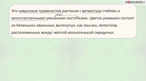 3 класс Роль прилагательных в тексте