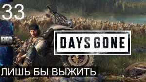 Days gone ➤ Прохождение — Часть 33: Лишь бы выжить (без комментариев)