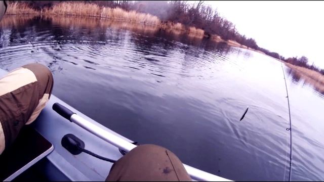 Осенняя рыбалка на щуку. Рыбалка на реке Битюг. Рыба есть!!!