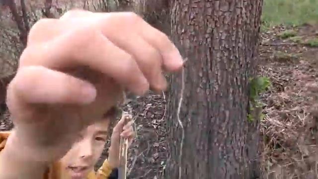 Как получить веревку в лес смотреть онлайн