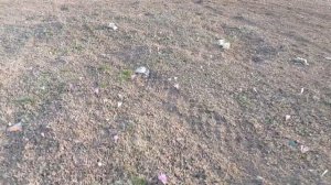 Город грозный. Село Алхан Кала