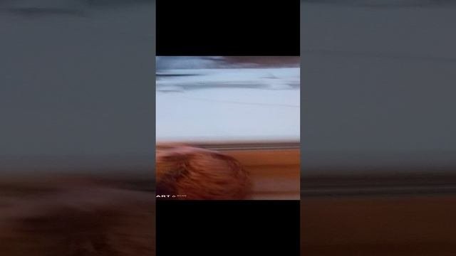 Жизнь Хренобуса Часть 1