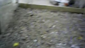 Подготовка площадки для бетонирования