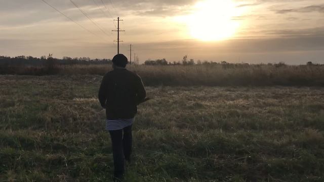 Вырастили курицу рекордного размера. Подземная теплица преображается. У сарая появляются стены. смотреть онлайн