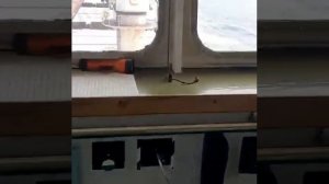 Прием вахты и обязанности 3 помощника капитана, морского судна-балкера от Анатолия Папахчиева ХМК Р