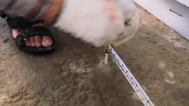 стяжка пола  из керамзита  своими руками Нижний Новгород