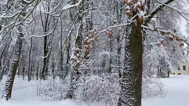 Усадьба Ф.И.Тютчева. Читает стихи Королева Татьяна Ивановна, народный мастер России смотреть онлайн