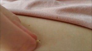 Eating All You Tinies For Breakfast ASMR Custom RP