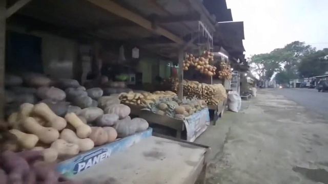 Between sun,job and immunity -Jogging at Puncak Bogor West Java Indonesia #ochirprojects123 смотреть онлайн