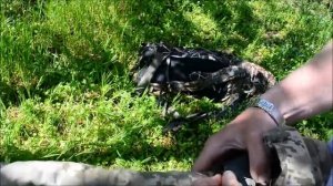 ТРИ ГОДА С ГАРРЕТ АТ ПРО ! ГЛЮКИ ? ПРОБЛЕМЫ ? СЕКРЕТЫ РАБОТЫ