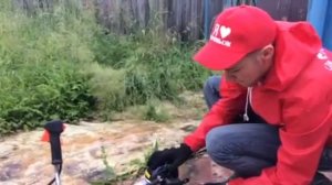 Этапы запуска бензокосы Caiman WX-24