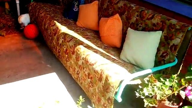 Вот так мы организовали летнюю беседку во дворе смотреть онлайн