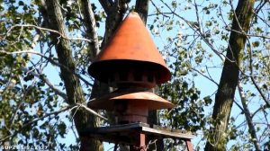 HOR Siro-Drone | Alert | Toledo, OH (Lucas County Tornado Siren Test) | 10/2/20