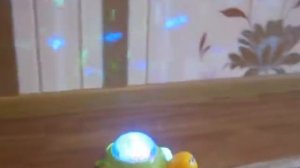 Черепашка игрушка, музыкальная, ночник, свет, батарейки