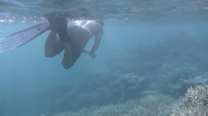 Maldives Dive Cruise Vol.6