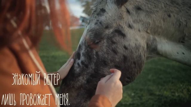 Невероятно чувственно.Nino Katamadze "Once in the street" смотреть онлайн