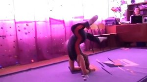 Катя. Гимнастика в школе