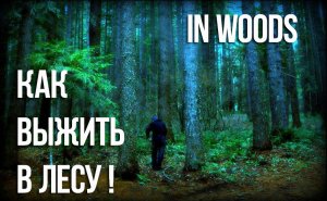 In Woods Изрешети своих врагов !